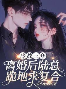 冷战三年,离婚后陆总跪地求复合